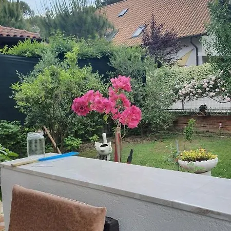 Apartment Fshati Turistik Qerret Vila Engjellushe Rr J Derada Qerret Kavaje